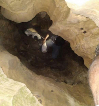 Illustration de l'article : Des randonneurs trouvent un chien affamé piégé dans une grotte de 9 mètres de profondeur