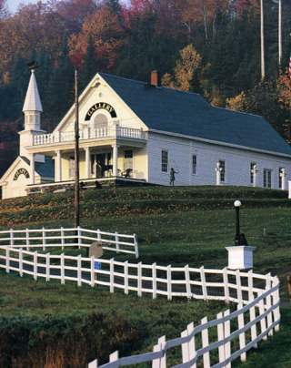 Illustration de l'article : D&eacute;couvrez Dog Mountain : un sanctuaire qui rend hommage &agrave; nos chiens tant aim&eacute;s 