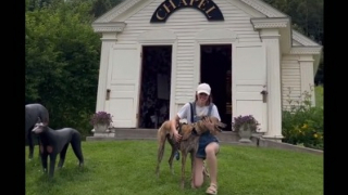 Illustration de l'article : D&eacute;couvrez Dog Mountain : un sanctuaire qui rend hommage &agrave; nos chiens tant aim&eacute;s 