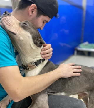 Illustration de l'article : Malgré les mauvais traitements qu’il a subis dans le passé, Sonny montre chaque jour sa reconnaissance à ses bienfaiteurs 