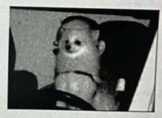 Illustration de l'article : Un chien écope d’une contravention pour excès de vitesse dans la voiture de son maître 