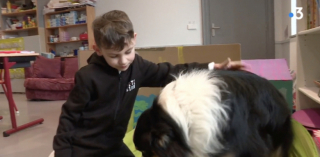 Illustration de l'article : La présence d’un chien peut apaiser les enfants atteints de troubles autistiques : une école nous le prouve 