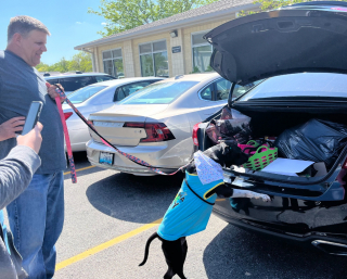 Illustration de l'article : Après 1000 jours d’attente, cette chienne aux besoins particuliers trouve enfin un foyer pour la vie