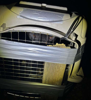 Illustration de l'article : Alertée par ses chiens, une femme porte secours à un jeune Pitbull abandonné dans une caisse