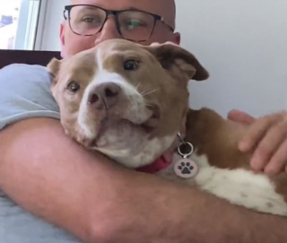 Illustration de l'article : En emménageant dans sa nouvelle maison, ce couple ne s’attendait pas à trouver un chien cruellement abandonné dans le jardin (vidéo)