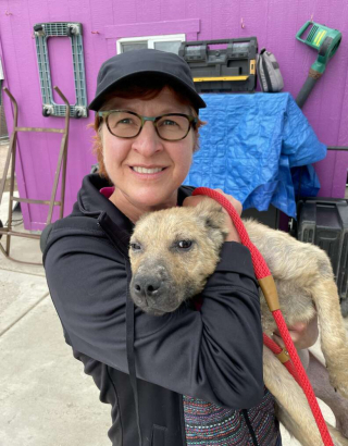 Illustration de l'article : Un concours de circonstances permet à la directrice d’un refuge de croiser la route d’un chien errant