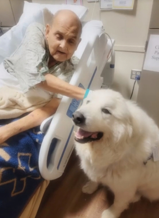Illustration de l'article : Grâce à ses visites dans les services de soins palliatifs, ce chien de thérapie apporte un véritable soutien aux patients (vidéo)