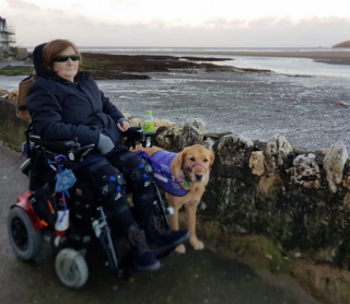 Illustration de l'article : Vinnie, le chien d’assistance, a transformé la vie de sa maîtresse handicapée par une maladie héréditaire