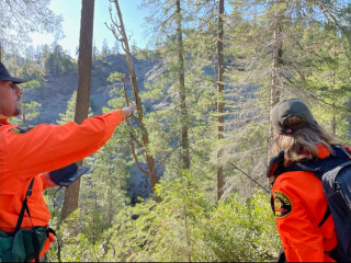 Illustration de l'article : Ce Border Collie a sauvé la vie de son maître, en menant les sauveteurs tout droit auprès de lui (vidéo)