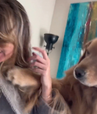 Illustration de l'article : Découvrez de quelle manière attendrissante s’y prend ce Golden Retriever pour obtenir des bisous 