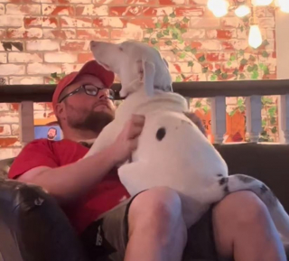 Illustration de l'article : Lorsque son maître rentre à la maison, ce chien sourd et aveugle a une touchante réaction (vidéo)