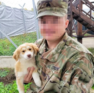 Illustration de l'article : Grâce à l’aide d’une association, ces 3 chiots pourront bientôt entamer une nouvelle vie auprès des militaires qui les ont recueillis