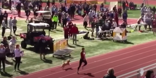 Illustration de l'article : Lors d’une compétition d’athlétisme, une chienne échappe à la surveillance de ses maîtres pour participer à la course de relais (vidéo)