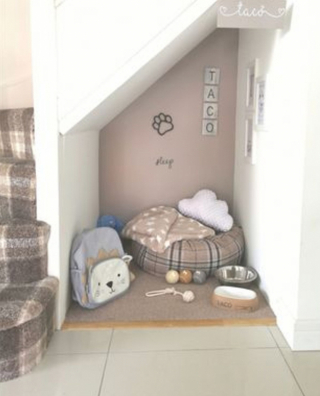 Illustration de l'article : Cette amoureuse des chiens a créé une véritable nurserie, pendant qu’elle attendait l’arrivée de son futur chiot Chow Chow