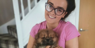 Illustration de l'article : Cette amoureuse des chiens a créé une véritable nurserie, pendant qu’elle attendait l’arrivée de son futur chiot Chow Chow