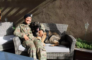 Illustration de l'article : Grâce à l’aide d’une association, ce Berger Allemand retraité et son ancienne maîtresse militaire vont pouvoir enfin vivre ensemble (vidéo)