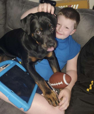 Illustration de l'article : Découvrez le don unique de cette chienne Rottweiler qui veille sur la santé de son jeune maître 