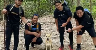 Illustration de l'article : Ce chien errant n’a pas hésité à jouer au guide forestier pour accompagner un groupe de randonneurs