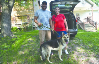 Illustration de l'article : Un vétéran traumatisé trouve beaucoup de réconfort auprès de Major, son formidable chien d’assistance