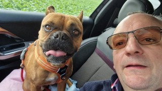 Illustration de l'article : Ce routier amoureux des animaux fait le taxi pour mener les chiens de refuge adoptés vers leur nouvelle famille