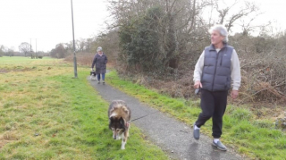Illustration de l'article : Le duo de chiens le plus vieux d’un refuge trouve enfin une famille après avoir été longtemps délaissé