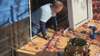 Illustration de l'article : Un petit refuge remue ciel et terre pour redonner espoir à une cinquantaine de chiens sauvés d'une vie en cage