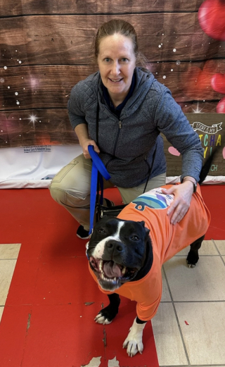 Illustration de l'article : Pendant plus de 400 jours, un Pitbull nommé North Star a cru en sa bonne étoile pour trouver un nouveau foyer