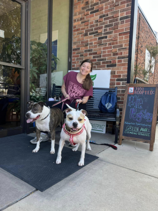 Illustration de l'article : Au refuge depuis 7 mois, un chien retrouve le sourire après avoir profité d'un lit confortable pour la première fois