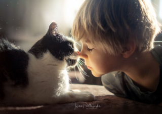 Illustration de l'article : Cette photographe réalise des photos poétiques qui montrent la beauté du lien entre chien et enfant