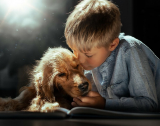 Illustration de l'article : Cette photographe réalise des photos poétiques qui montrent la beauté du lien entre chien et enfant
