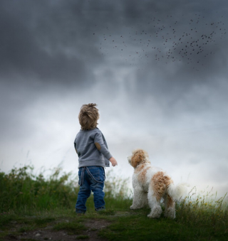 Illustration de l'article : Cette photographe réalise des photos poétiques qui montrent la beauté du lien entre chien et enfant