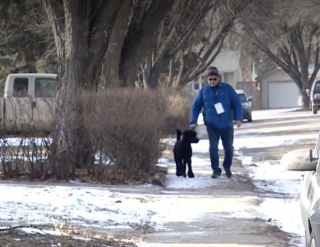 Illustration de l'article : Afin de ne pas séparer les personnes à mobilité réduite de leurs chiens, une association de bénévoles s’engagent à les promener gratuitement