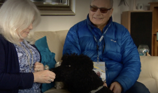 Illustration de l'article : Afin de ne pas séparer les personnes à mobilité réduite de leurs chiens, une association de bénévoles s’engagent à les promener gratuitement