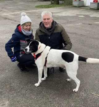 Illustration de l'article : Humbug, le résident le plus ancien du refuge, a réussi par surmonter sa peur des humains pour commencer une nouvelle vie (vidéo)