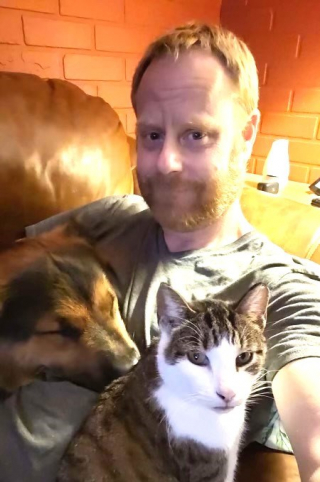 Illustration de l'article : Après une disparition de près de 4 mois, Bear, le croisé Berger Allemand, réapparaît à 2 000 kilomètres de chez lui