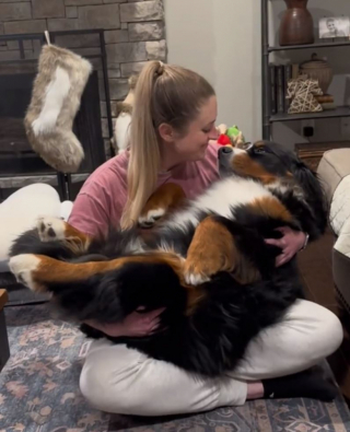 Illustration de l'article : Malgré sa grande taille, ce Bouvier Bernois adore être porté comme un bébé par sa maîtresse (vidéo)