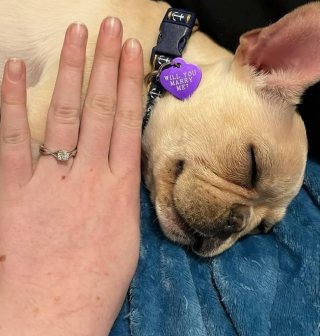 Illustration de l'article : Ce jeune homme a la plus romantique des idées, en voyant le jeune Banjo pour la première fois (vidéo)