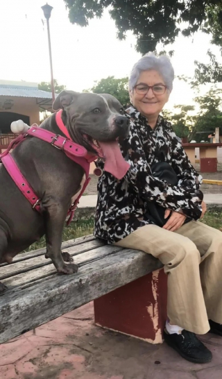 Illustration de l'article : Cette chienne contemple une photo tous les jours en souvenir d’une amitié révolue