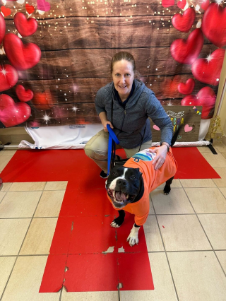 Illustration de l'article : Cet adorable Pitbull sans famille garde le sourire malgré plus de 400 jours passés dans un refuge