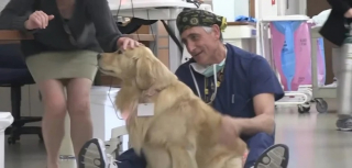 Illustration de l'article : Une chienne de th&eacute;rapie ador&eacute;e par tous re&ccedil;oit un dernier hommage avant sa retraite anticip&eacute;e