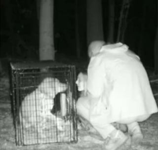 Illustration de l'article : Ce couple interrompt leur cérémonie de mariage pour aller sauver leur chien perdu en forêt