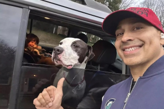 Illustration de l'article : En faisant une livraison dans un refuge pour animaux, ce papa célibataire réalise le rêve de sa fille de 5 ans