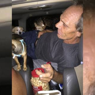 Illustration de l'article : Une automobiliste émue par l'histoire d'un sans-abri voyageant avec 11 chiens prend une décision qui change leurs vies