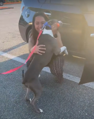 Illustration de l'article : 2 sœurs recueillent un chien qu'ils croient errant sans se douter de la joie qu'elles sont sur le point de provoquer à 700 km de là (vidéo)