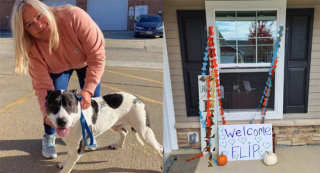 Illustration de l'article : Le triste record de Flip, qui a passé 2 555 jours derrière les barreaux d’un box