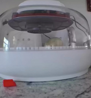 Illustration de l'article : Une chienne découvre un œuf et son instinct maternel lui dicte de veiller sur lui jusqu'à son éclosion