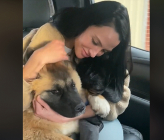 Illustration de l'article : Après 5 adoptions infructueuses, une chienne de refuge réapprend à faire confiance grâce à l’amour de sa nouvelle maîtresse (vidéo)