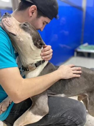 Illustration de l'article : Maltraité puis abandonné, ce chien de refuge remercie ses sauveurs avec de gros câlins