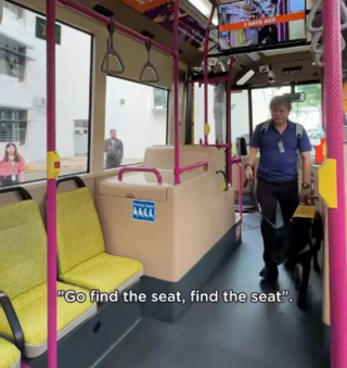 Illustration de l'article : Ce malvoyant montre en vidéo comment son chien guide l’aide à prendre les transports en commun