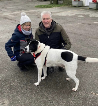 Illustration de l'article : Ce chien craintif a pass&eacute; 10 ans dans un refuge dans l'espoir de trouver la bonne famille